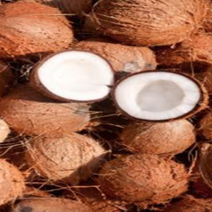 KFFC Coconut