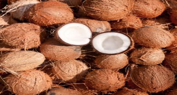 KFFC Coconut