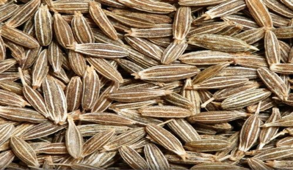 KFFC White Cumin