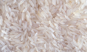 Non-Basmati Varieties