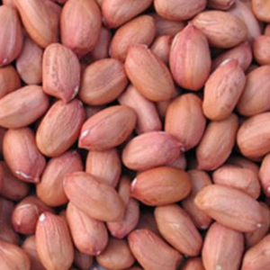 KFFC Peanut