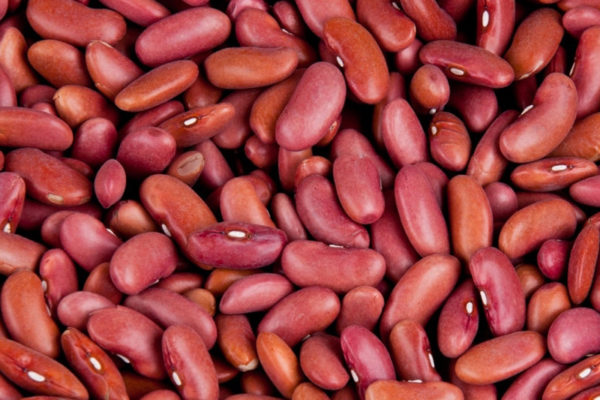 KFFC Red Kidney Beans