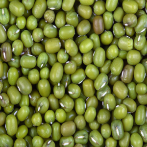 KFFC Green Beans / Mong