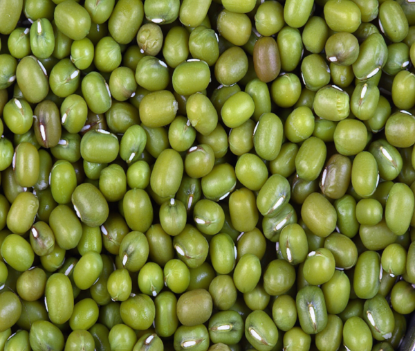 KFFC Green Beans / Mong