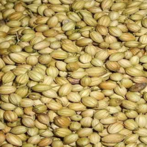 KFFC Coriander Seeds